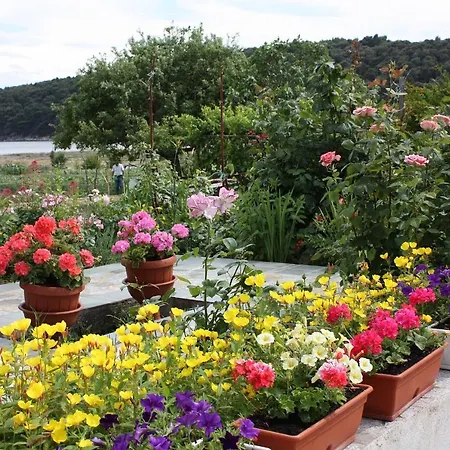 With Parking Space Kampor, Rab - 4985 Kampor