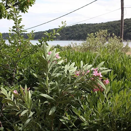 Apartment With Parking Space Kampor, Rab - 4985 *