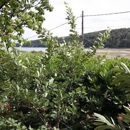 With Parking Space Kampor, Rab - 4985 Apartment *