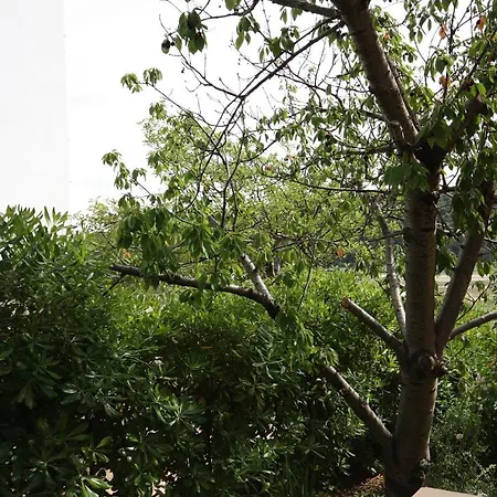 With Parking Space Kampor, Rab - 4985 Apartment