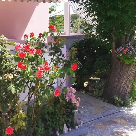 With Parking Space Kampor, Rab - 4985