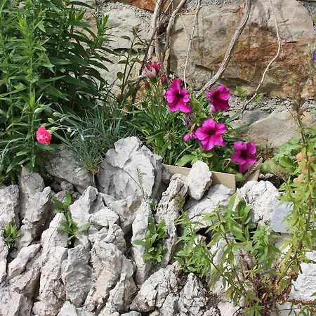 With Parking Space Kampor, Rab - 4985 Apartment *