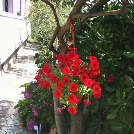 Apartment With Parking Space Kampor, Rab - 4985