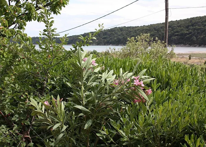 Appartement With Parking Space Kampor, Rab - 4985 *