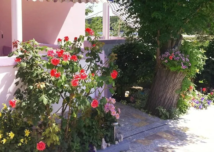 With Parking Space Kampor, Rab - 4985